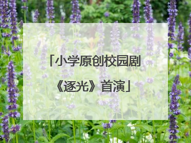 小学原创校园剧《逐光》首演